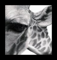 Pencil Drawings Of Animals - A Giraffe Pencil Drawing - Pencil  Paper