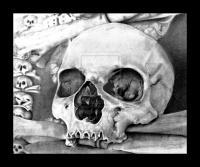 Pencil Drawings Of Skulls - Skull Pencil Drawing - Pencil  Paper