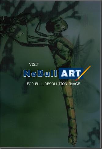 Efa - Dragon - Photo Collage
