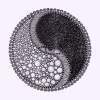 Self Awareness - Pencil Drawings - By James Lanigan-Thompson, Pencil On Arches Paper Drawing Artist