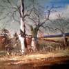 Dying Elms - Oils Paintings - By Lanny Roff, Impressionism Painting Artist