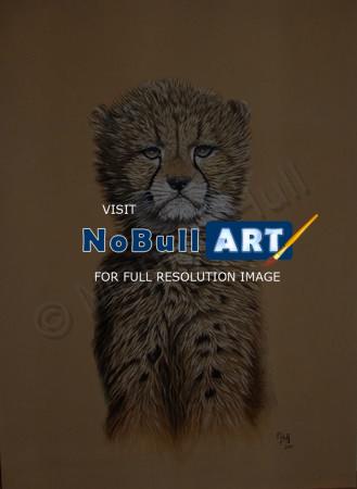 Wildlife - Aristocat - Acrylic On Canvas Board