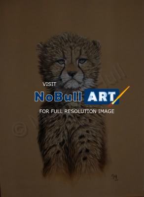 Wildlife - Aristocat - Acrylic On Canvas Board