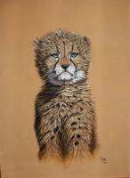 Wildlife - Aristocat - Acrylic On Canvas Board