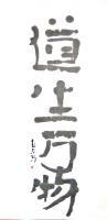 Chinese Calligraphy - The Tao Creates All Matter - Chinese Ink On Rice Paper