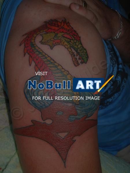 Tattoos - Tribal Dragon - Tattoos