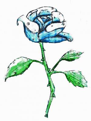 Pencil Photoshop - Blue Rose - Photoshop