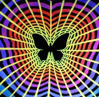 Blacklight Decoration - Butterfly Effect - Acryl