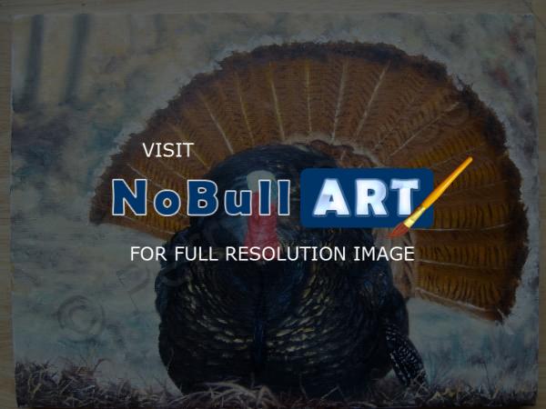 Realism - Wild Turkey - Oil Paint On Canvas
