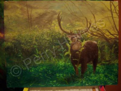 Realism - A Deer For Matt - Oil Paint On Canvas