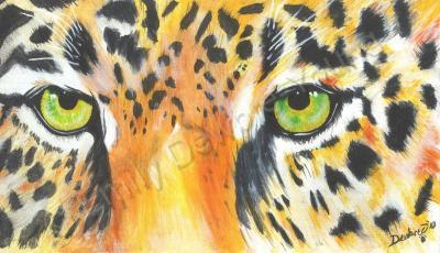 Animal Eyes - Jaguar Eyes - Acrylic