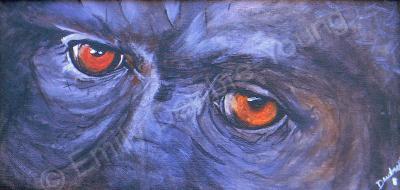 Animal Eyes - Gorilla Eyes - Acrylic