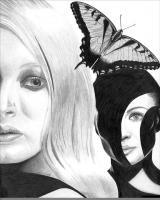 Drawings - Butterfly - Pencil