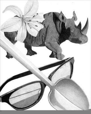 Drawings - Rhino - Pencil