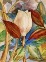 Floral - Magnolia - Watercolors