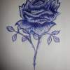 Rose Red - Ink Pen Drawings - By Sara Sheehan, Shading Drawing Artist
