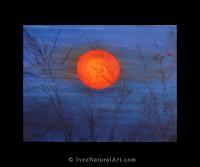 Scapes - Blue Sun - Acrylic On Canvas