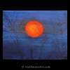 Blue Sun - Acrylic On Canvas Paintings - By Ivette Kjelsrud, Abstract Painting Artist