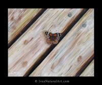 Butterflies - Sitting On The Dock Of The Bay - Acrylic