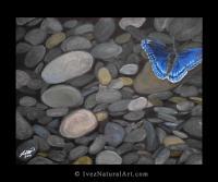 Butterflies - Down By The River - Acrylic