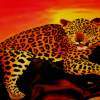Leopard In The Sunset - Oil On Streched Canvas Paintings - By Manuel Sanchez, Impresionism Painting Artist