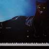 Black Panther And His Piano - Oil On Streched Canvas Paintings - By Manuel Sanchez, Impresionism Painting Artist