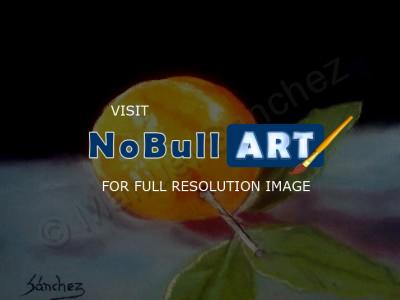 Sold - Naranja Fina - Oil On Streched Canvas