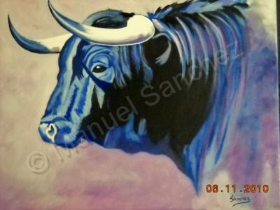 Sold - Toro Negro - Oil On Streched Canvas