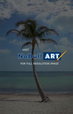 Florida - Palm Tree At The Beach - Digital