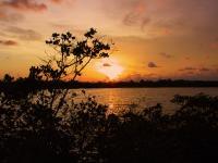 Florida - Florida Keys Sunset - Digital