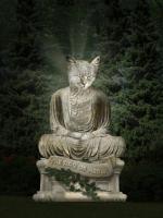 The Dao Of Meow - Digital Digital - By Aura 2000, Photo Enhancement Digital Artist