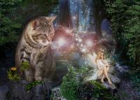 Cats - Kindred Spirits - Digital