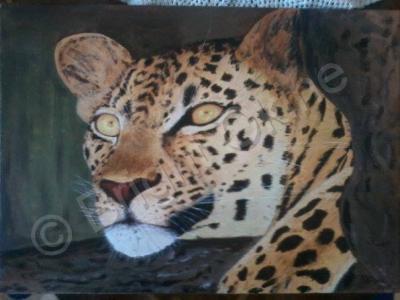 Oil On Canvas - Leopard - Oil