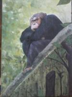 Chimpanzee - Oil Paintings - By Bright Okine, Realistic Painting Artist
