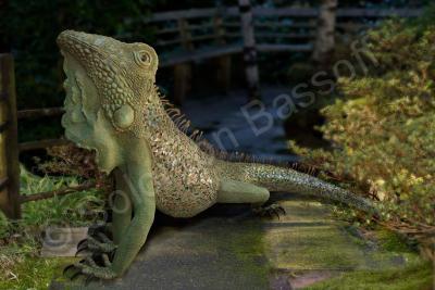 Cement - Galapagos Sea Iguana - Cement Steel Glass