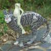 Cat And Frog - Cement Steel Glass Sculptures - By Solomon Bassoff-Faducci, Hand Sculpted Cement Sculpture Artist