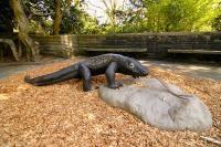 Komodo Dragon - Cement Steel Glass Sculptures - By Solomon Bassoff-Faducci, Hand Sculpted Cement Sculpture Artist