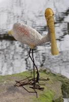 Spoonbill - Cement  Steel Sculptures - By Solomon Bassoff-Faducci, Hand Sculpted Cement Sculpture Artist