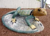 Collared Lizard - Cement Steel Glass Sculptures - By Solomon Bassoff-Faducci, Hand Sculpted Cement Sculpture Artist