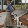 Lucille Mulhall First Cowgirl In America And Wall-E Shelt - Cement  Steel Sculptures - By Solomon Bassoff-Faducci, Hand Sculpted Cement Sculpture Artist