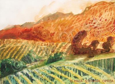 Landscape - Vineyard II - Watercolor On Paper