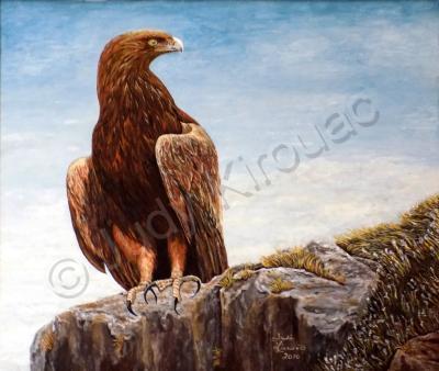 Wildlife - Golden Eagle - Acrylics On Wood