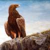 Golden Eagle - Acrylics On Wood Paintings - By Judy Kirouac, Realism Painting Artist