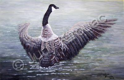 Wildlife - Dancing Canada Goose - Acrylic On Canvas