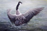 Dancing Canada Goose - Acrylic On Canvas Paintings - By Judy Kirouac, Realism Painting Artist