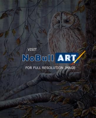 Wildlife - Wise Old Owl - Acrylic On Canvas