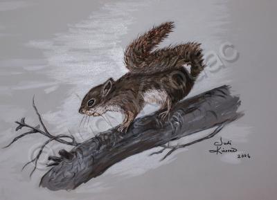 Wildlife - Squirrel - Acrylic On Canvas