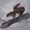 Squirrel - Acrylic On Canvas Paintings - By Judy Kirouac, Realism Painting Artist