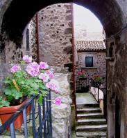 Geraniums In Santo Stefano - Kodak Easyshare Photography - By Judy Kirouac, Photo Photography Artist