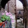 Geraniums In Santo Stefano - Kodak Easyshare Photography - By Judy Kirouac, Photo Photography Artist